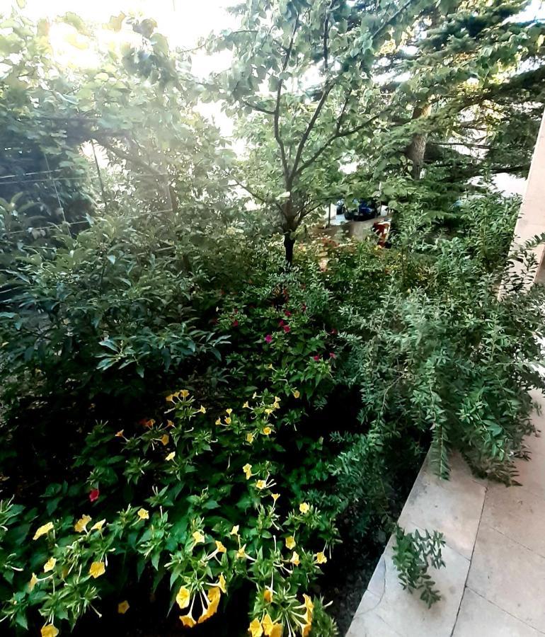 Villa Libe Baska Voda Ngoại thất bức ảnh